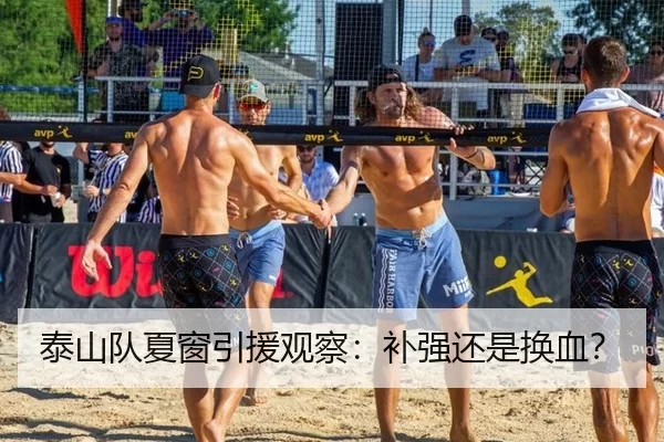 泰山队夏窗引援观察：补强还是换血？ - okooo